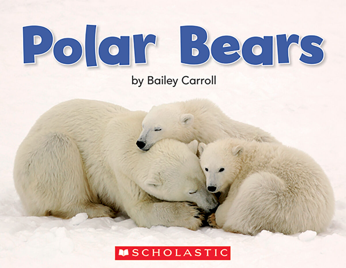 Literacy Place PLUS Grade 1 Independent Reading Collection image number 7