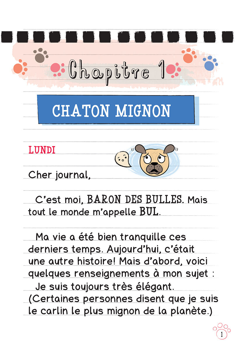 Journal d&rsquo;un carlin : N&deg; 3 - Le lave-o-thon pour chiens image number 1