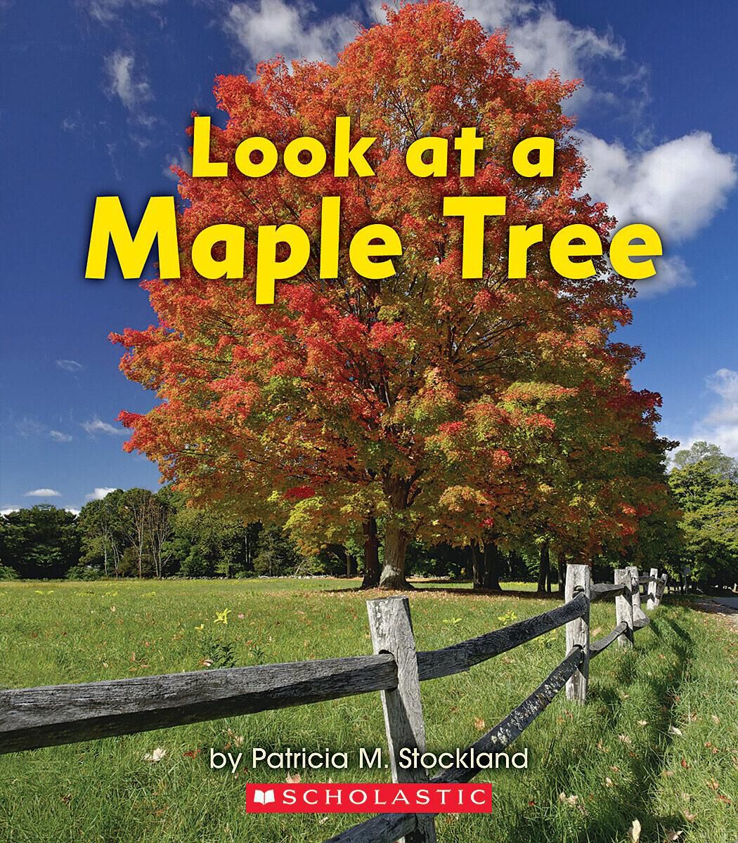 Independent Reading Collection: Level B image number 8