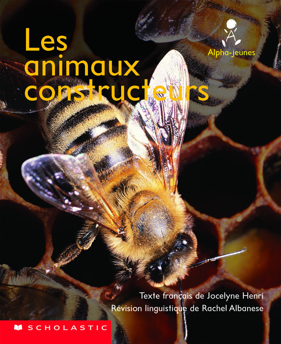 Alpha-jeunes: S&eacute;rie 1, Niveau 19 (J): Les animaux constructeurs Emballage de 6