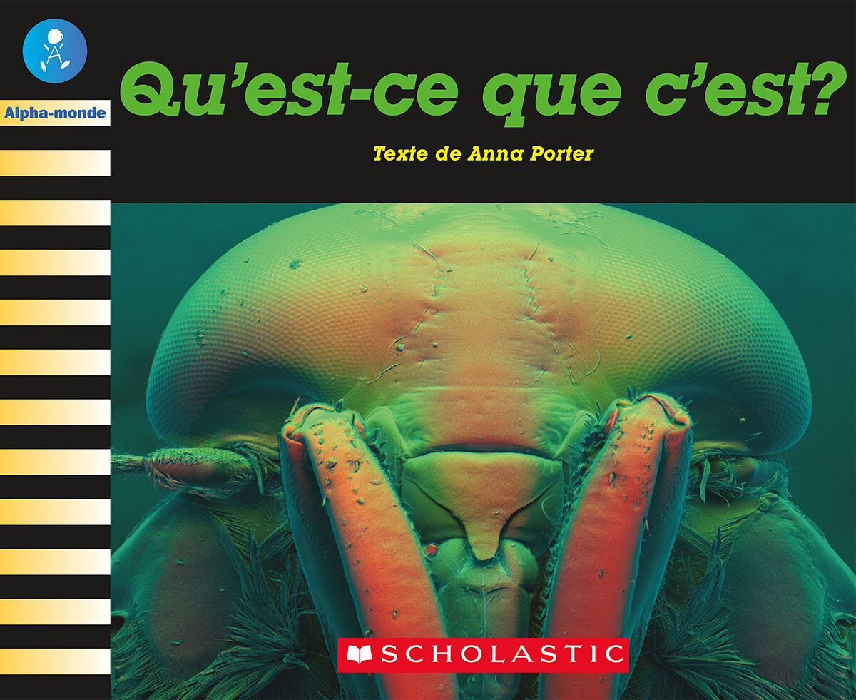 Alpha-monde: Niveau 11 (G): Qu'est-ce que c'est? Emballage de 6
