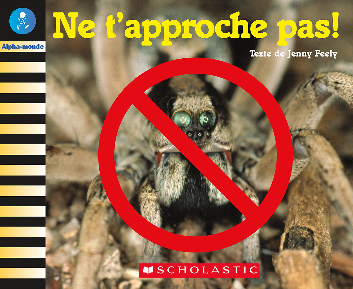 Alpha-monde: Emballage Niveau 6 (D) image number 1