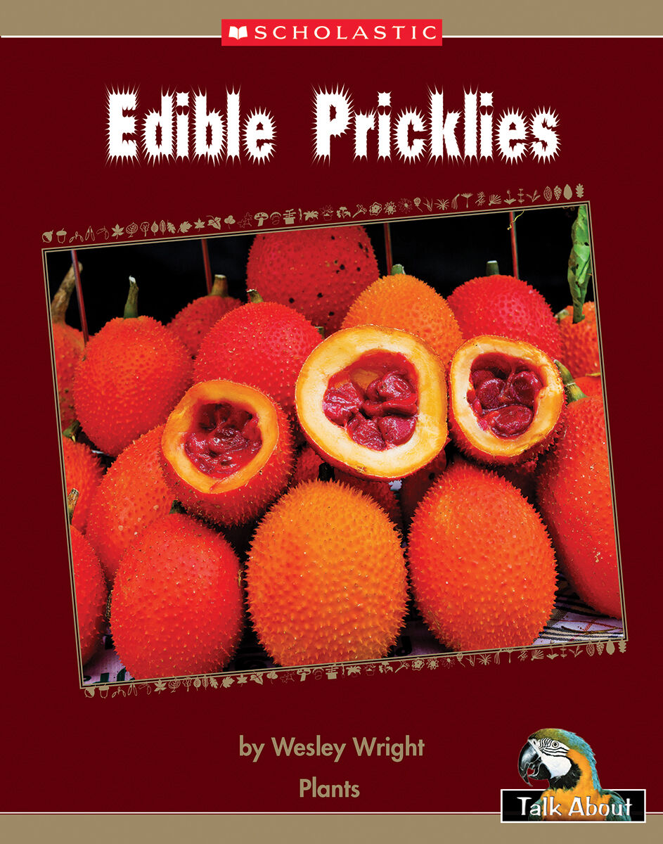 Talk About The Natural World: Plants: Edible Pricklies 4 Pack image number 1