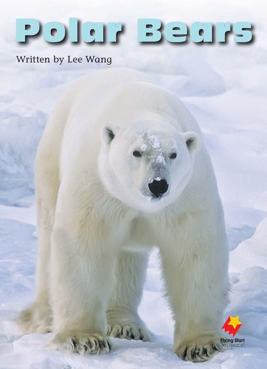Flying Start: Level K: Polar Bears/A Bear Called Trouble 12 Pack image number 2