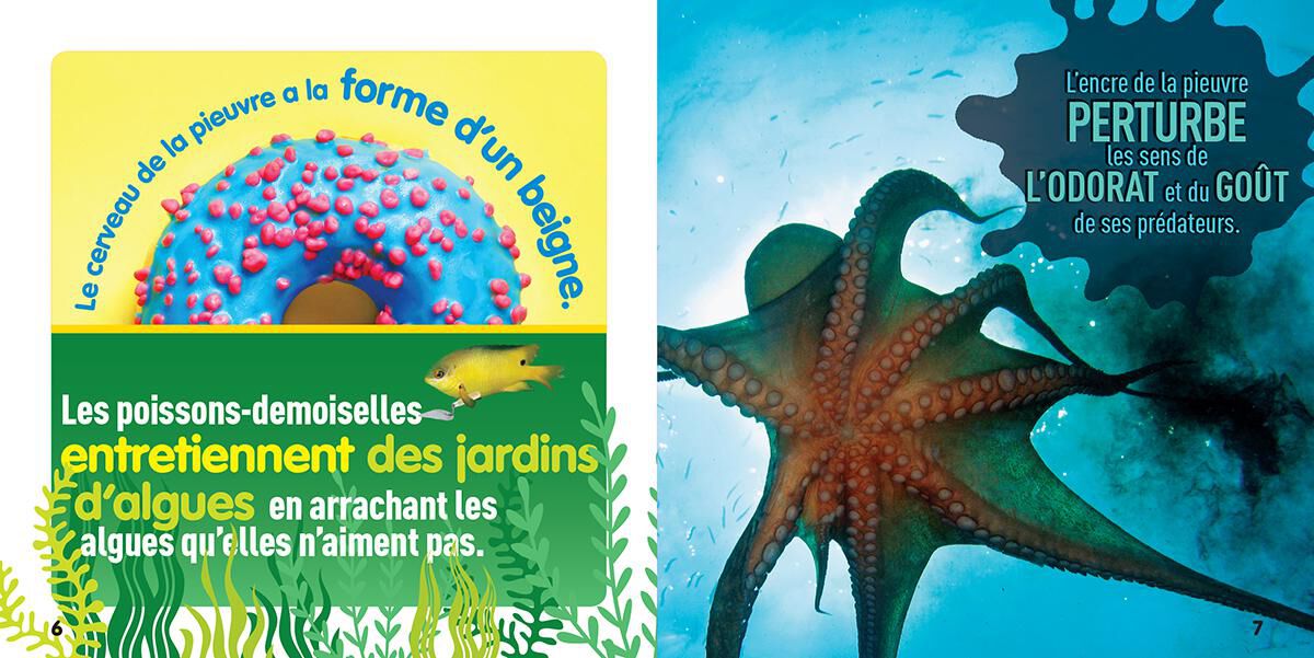 National Geographic Kids : Bizarre mais vrai! Les oc&eacute;ans image number 2