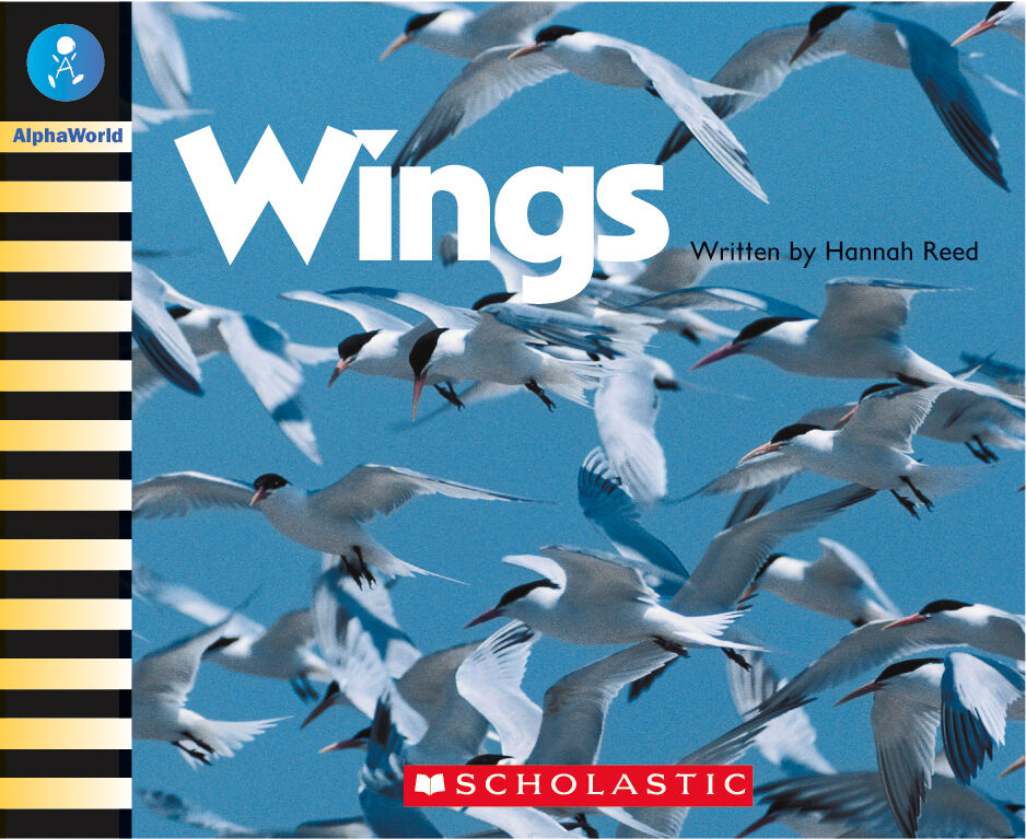 AlphaWorld: Levels 6-11 Book Set image number 4