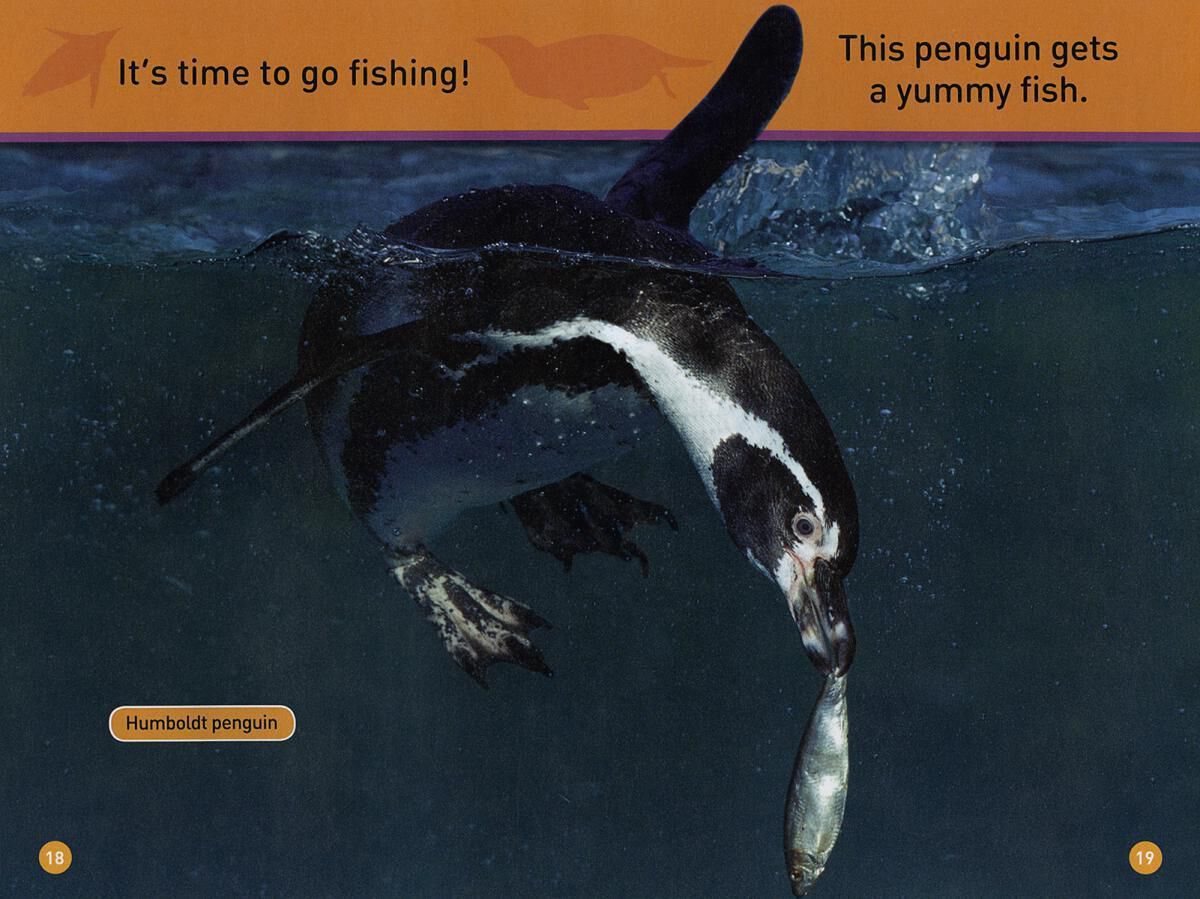 Independent Reading Collection: Level F image number 4