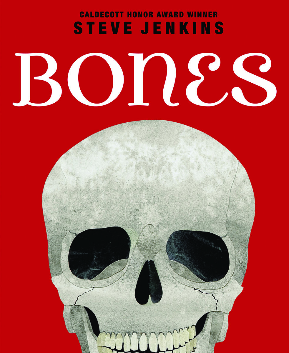 Grade 5 Independent Reading Classroom Libraires: Levels Q-U image number 6