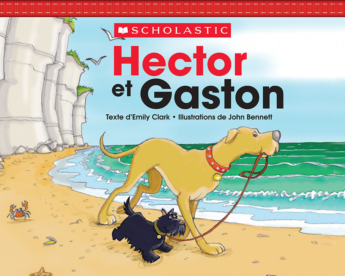 Jour apr&egrave;s jour : Collections toutes faites : Pour les lecteurs d&eacute;butants image number 7