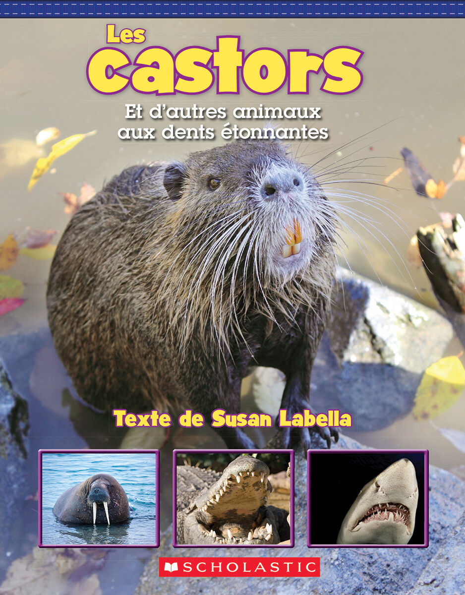 Jour apr&egrave;s jour : Collections toutes faites : Les faits sur les animaux image number 2