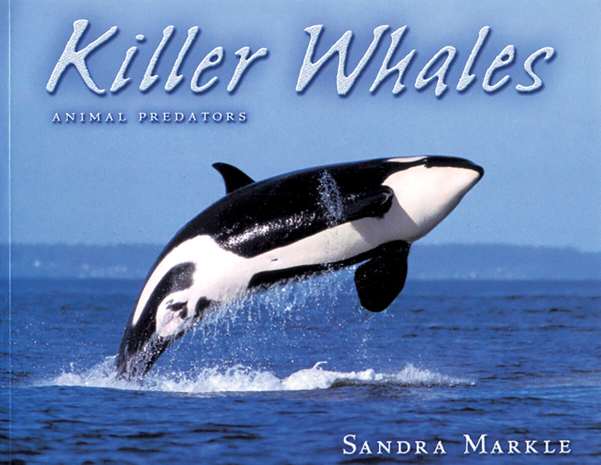 Moving Up Grade 4 Analyzing Strategy Unit image number 2