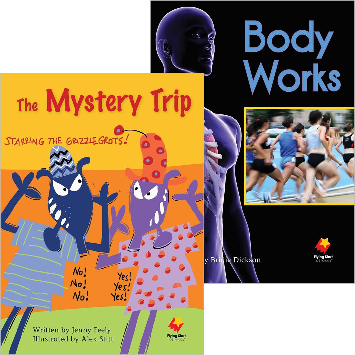 Flying Start: Level M: Body Works/The Mystery Trip 12 Pack image number 0