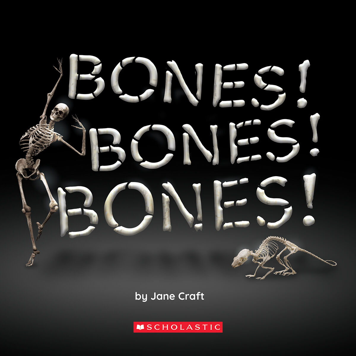 Read to Know Text Sets image number 1