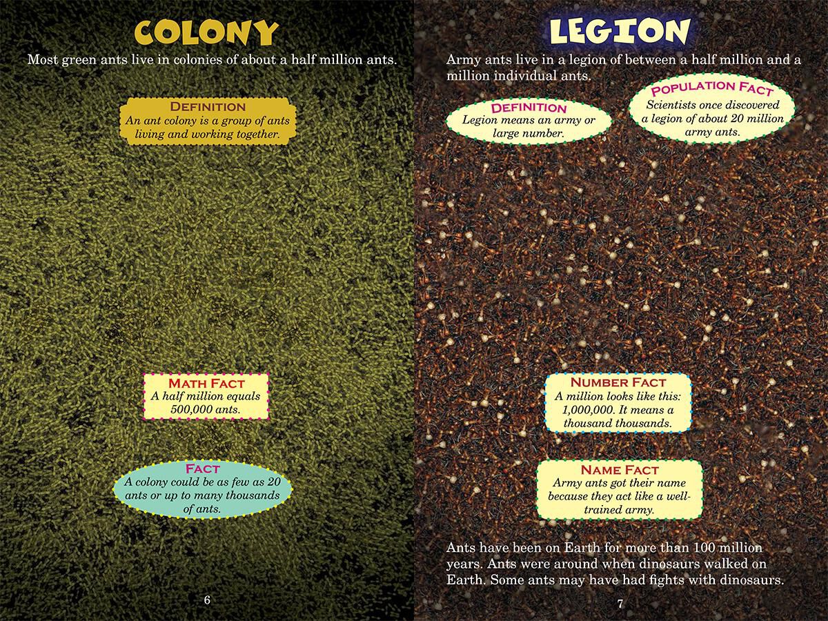 Who Would Win? Green Ants vs. Army Ants image number 2