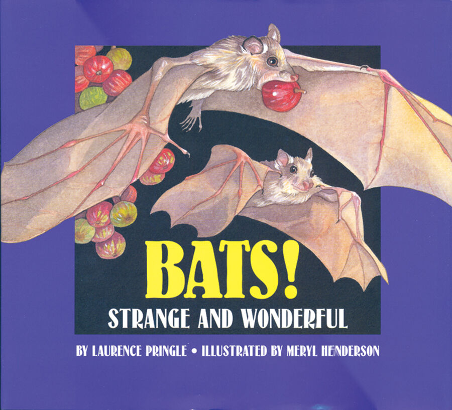 Literacy Place for the Early Years Grade 3 Read Aloud Package image number 2