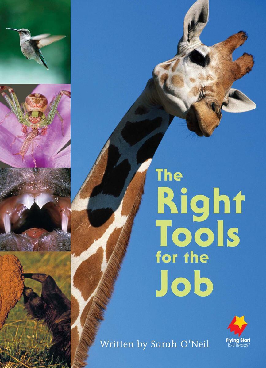 Flying Start Level L Library Pack image number 4