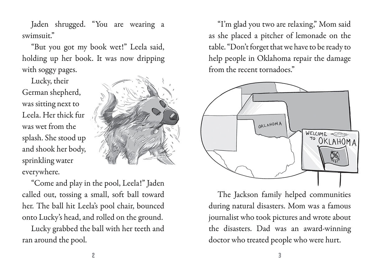 Disaster Squad #4: Tornado Rescue image number 2