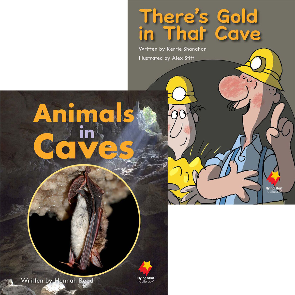 Flying Start: Level H: Animals in Caves/There's Gold in that Cave 12 Pack