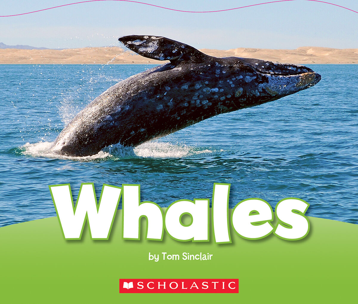 Literacy Place PLUS Grade 2: Level J: Whales 6 Pack
