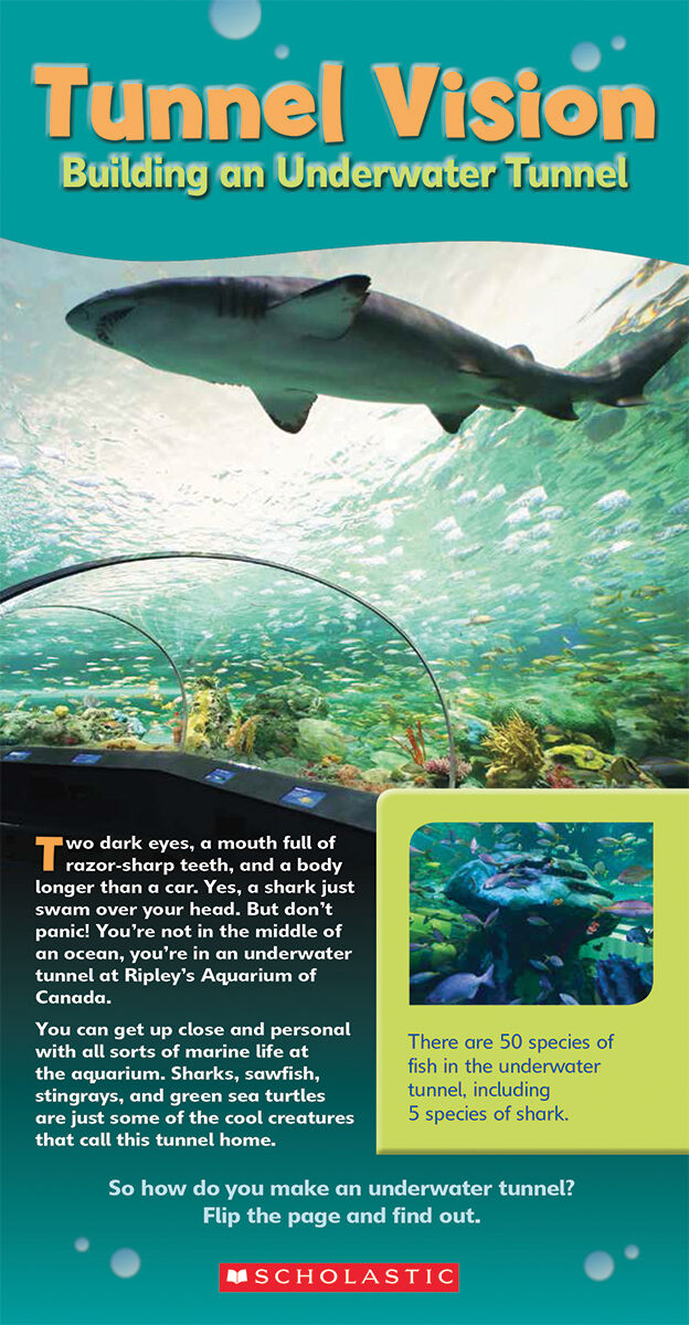 Literacy Place PLUS Grade 3: Level R: Tunnel Vision: Building An Underwater Tunnel 6 Pack