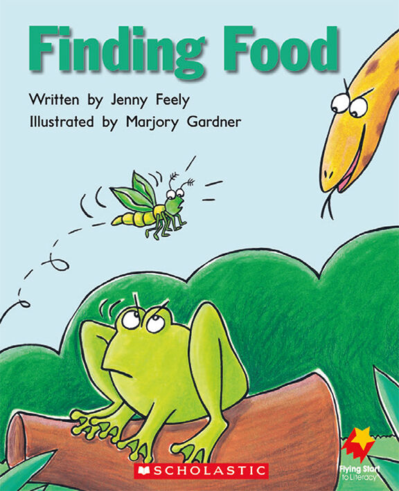 Flying Start: Level C Library Pack image number 4