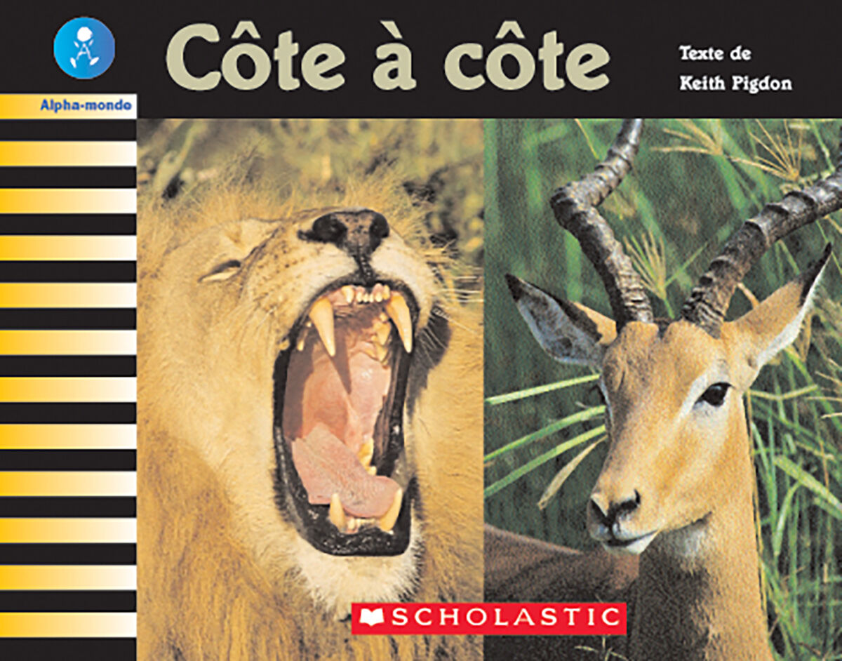 Alpha-monde: Emballage Niveau 24 (L) image number 4