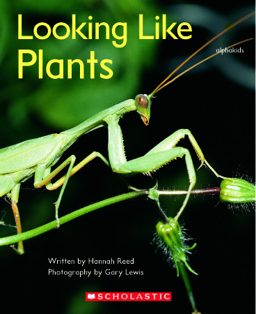 Alphakids: Set 2, Level 12 (G) Library Pack image number 5