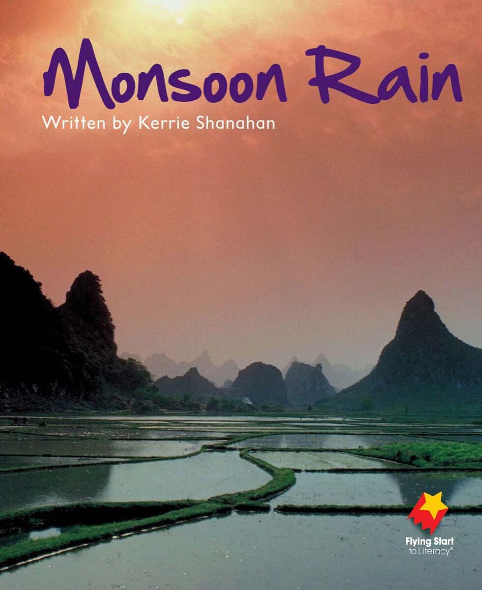 Flying Start: Level H: Monsoon Rain/The Wise Bird 12 Pack image number 2