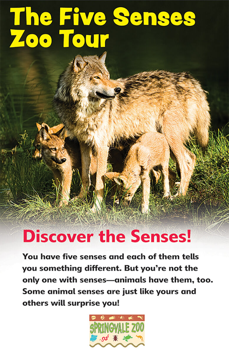 Literacy Place PLUS Grade 1: Level J: Five Senses Zoo Tour 6 Pack