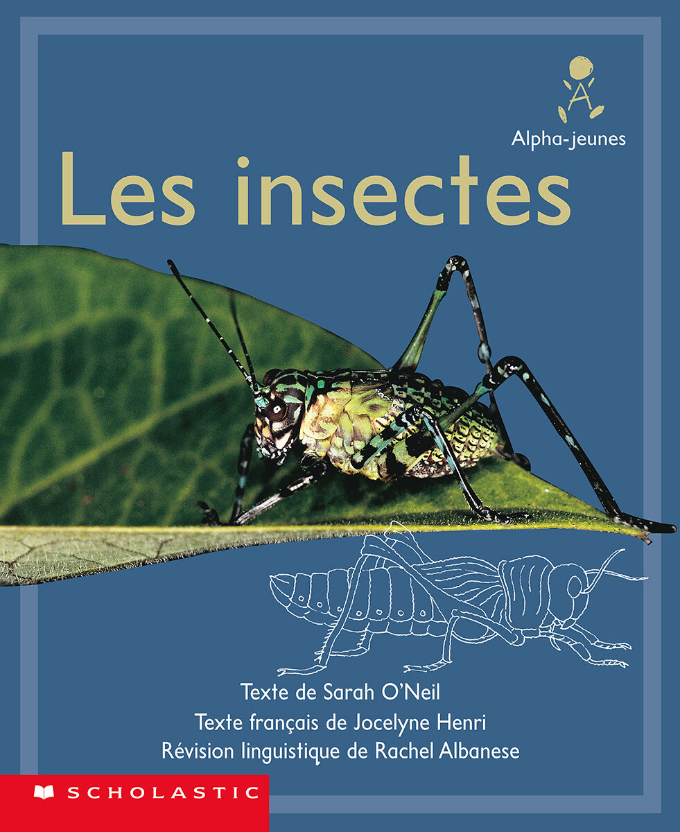 Alpha-jeunes: S&eacute;rie 1, Niveau 15 (I): Les insectes Emballage de 6