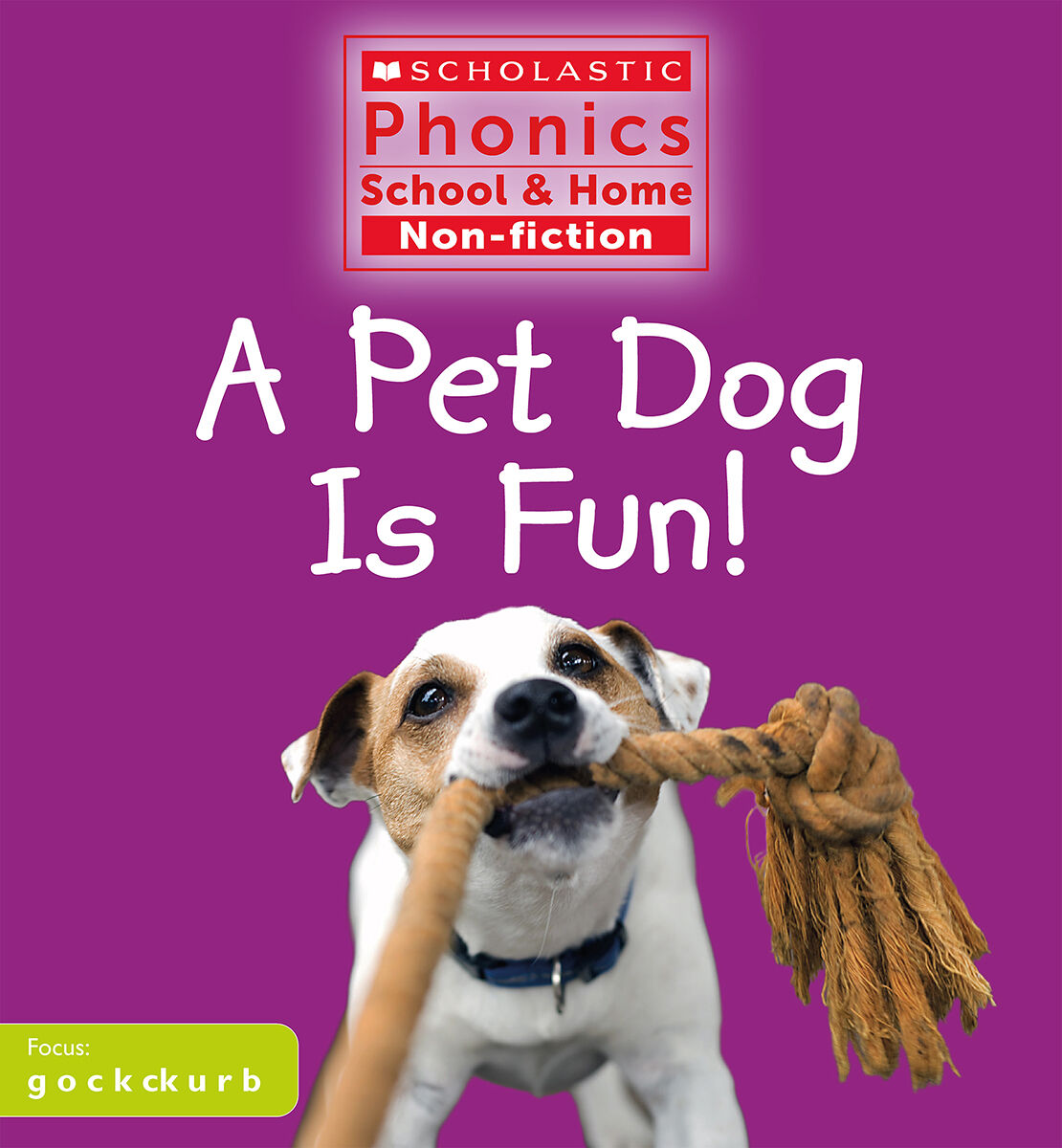 Scholastic Phonics School & Home Non-fiction Collection 1: Sets 1-4 image number 3