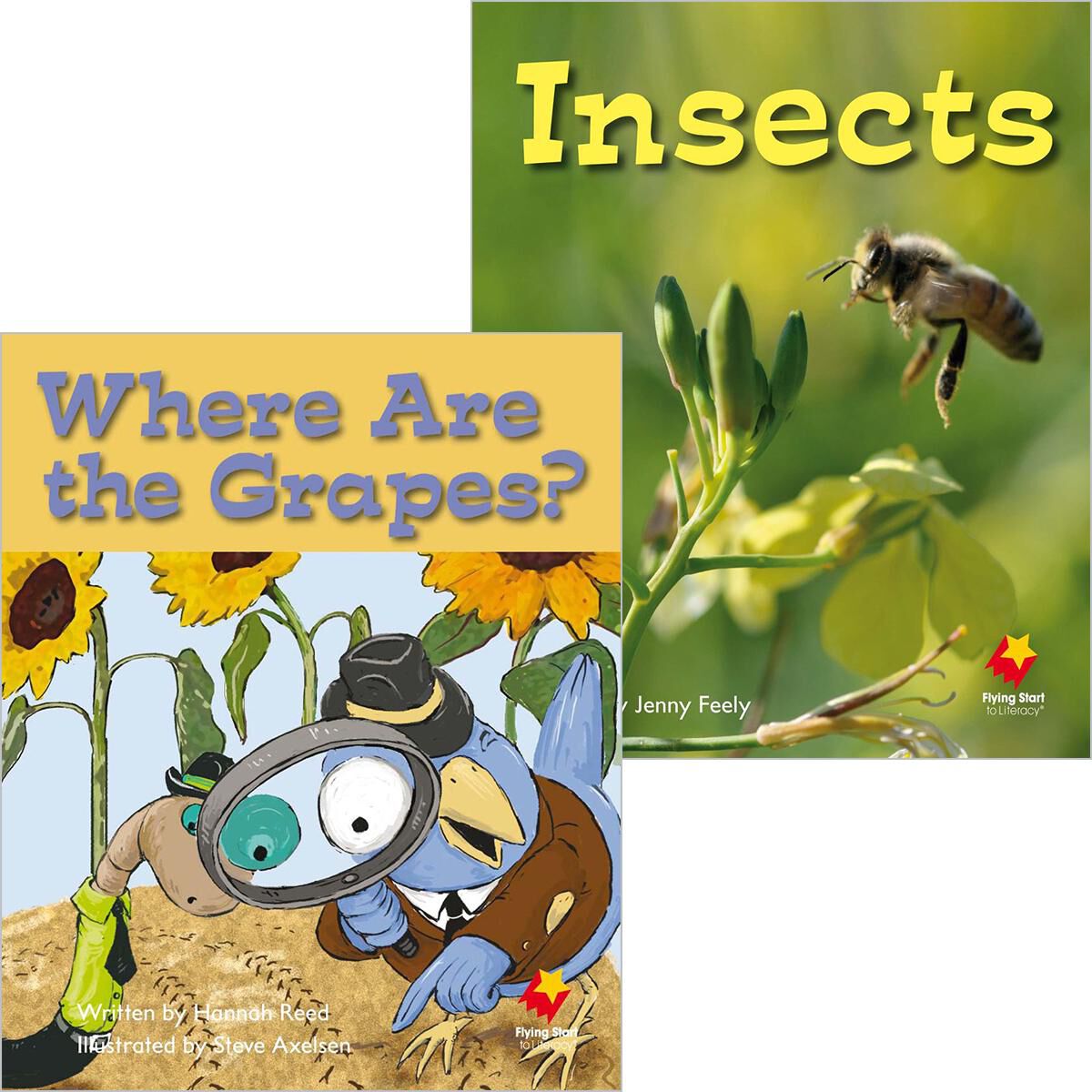 Flying Start: Level E: Insects/Where Are the Grapes? 12 Pack image number 0