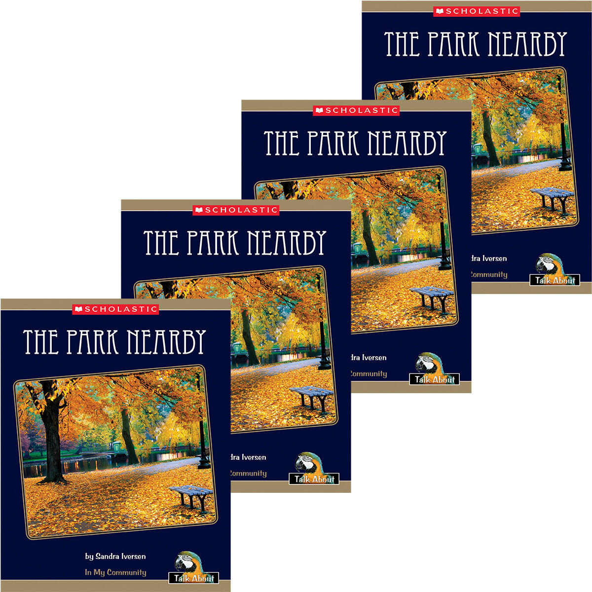 Talk About Everyday Things: In My Community: The Park Nearby 4 Pack