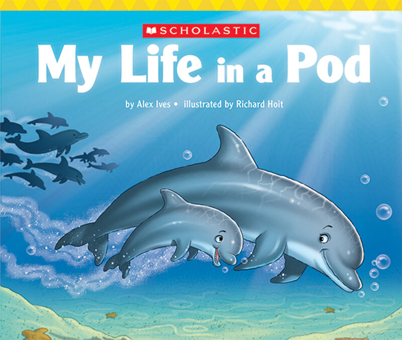 Everyday Book Box 3: Yellow Book Box image number 5