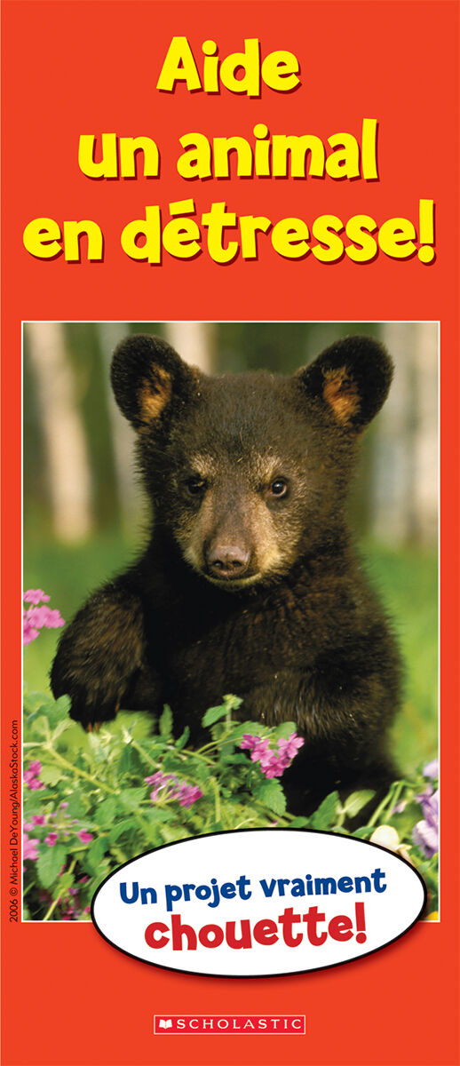 Envol an litt&eacute;ratie 1re ann&eacute;e Emballage de lecture guid&eacute;e: Biblioth&egrave;que de classe Q &agrave; T image number 2