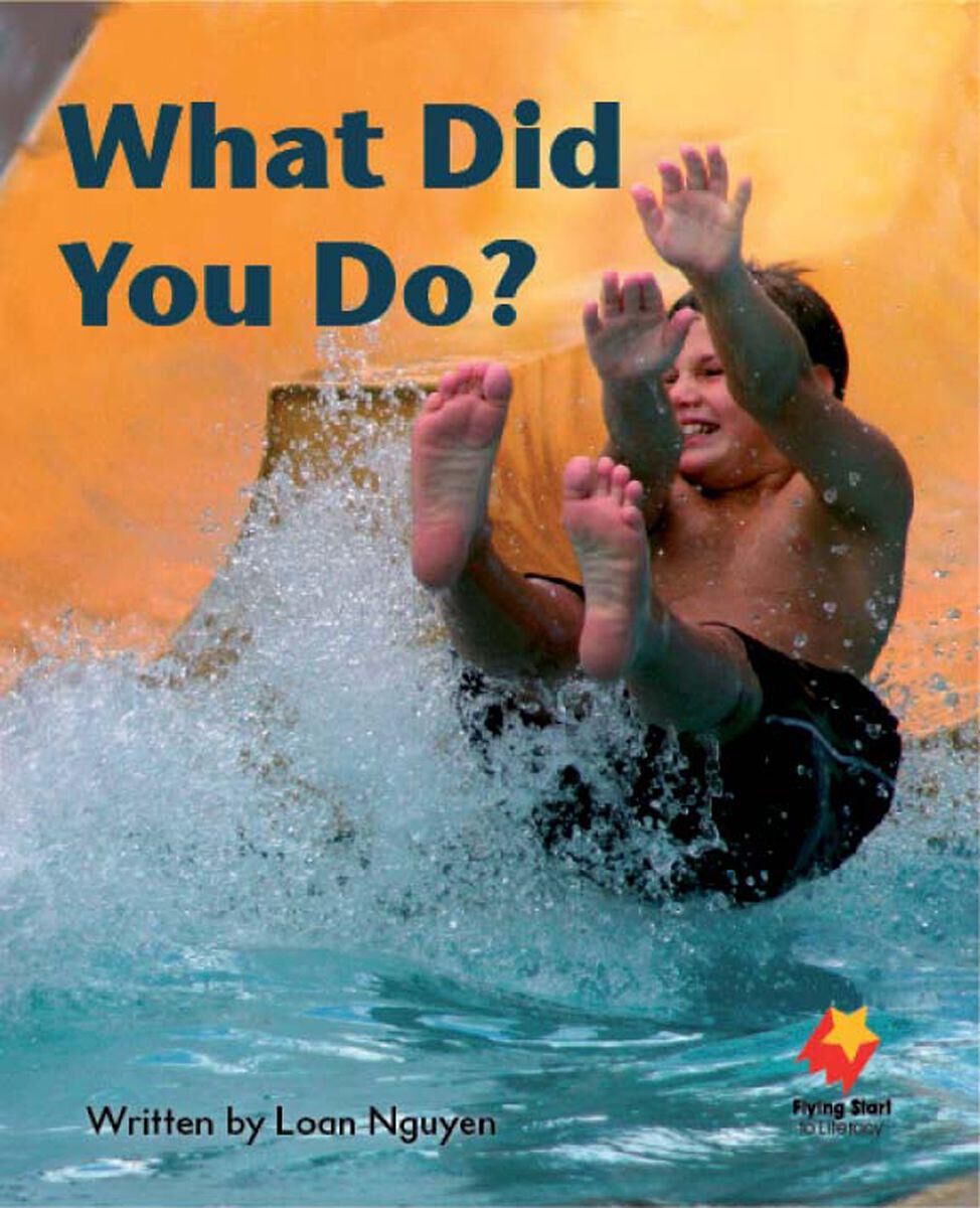 Flying Start: Level B: What Did You Do?/Going Places 12 Pack image number 1