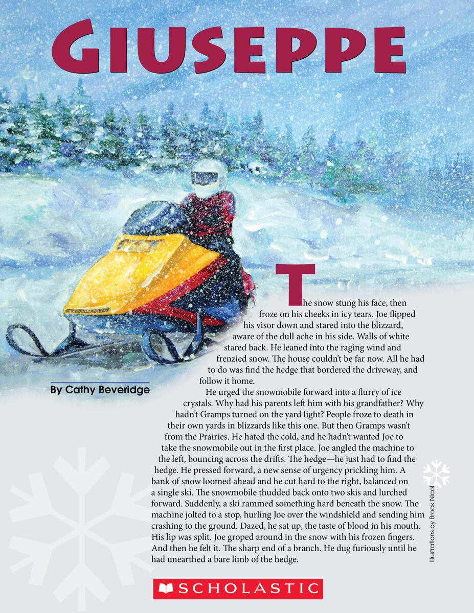 LPEY Levelled Libraries: Level T image number 2