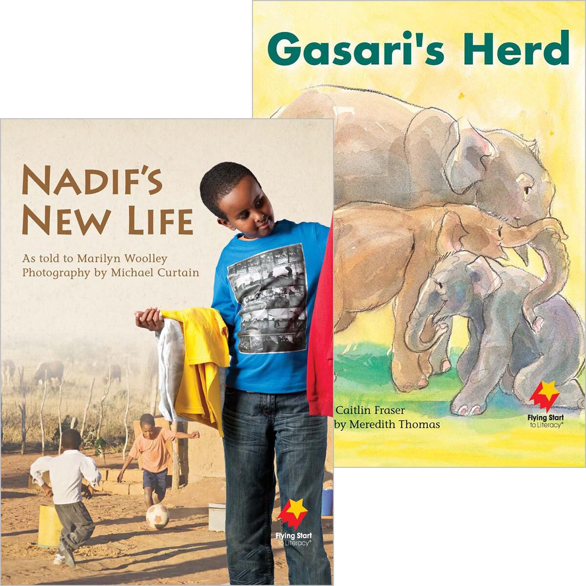 Flying Start: Level J: Nadif's New Life/Gasari's Herd 12 Pack image number 0