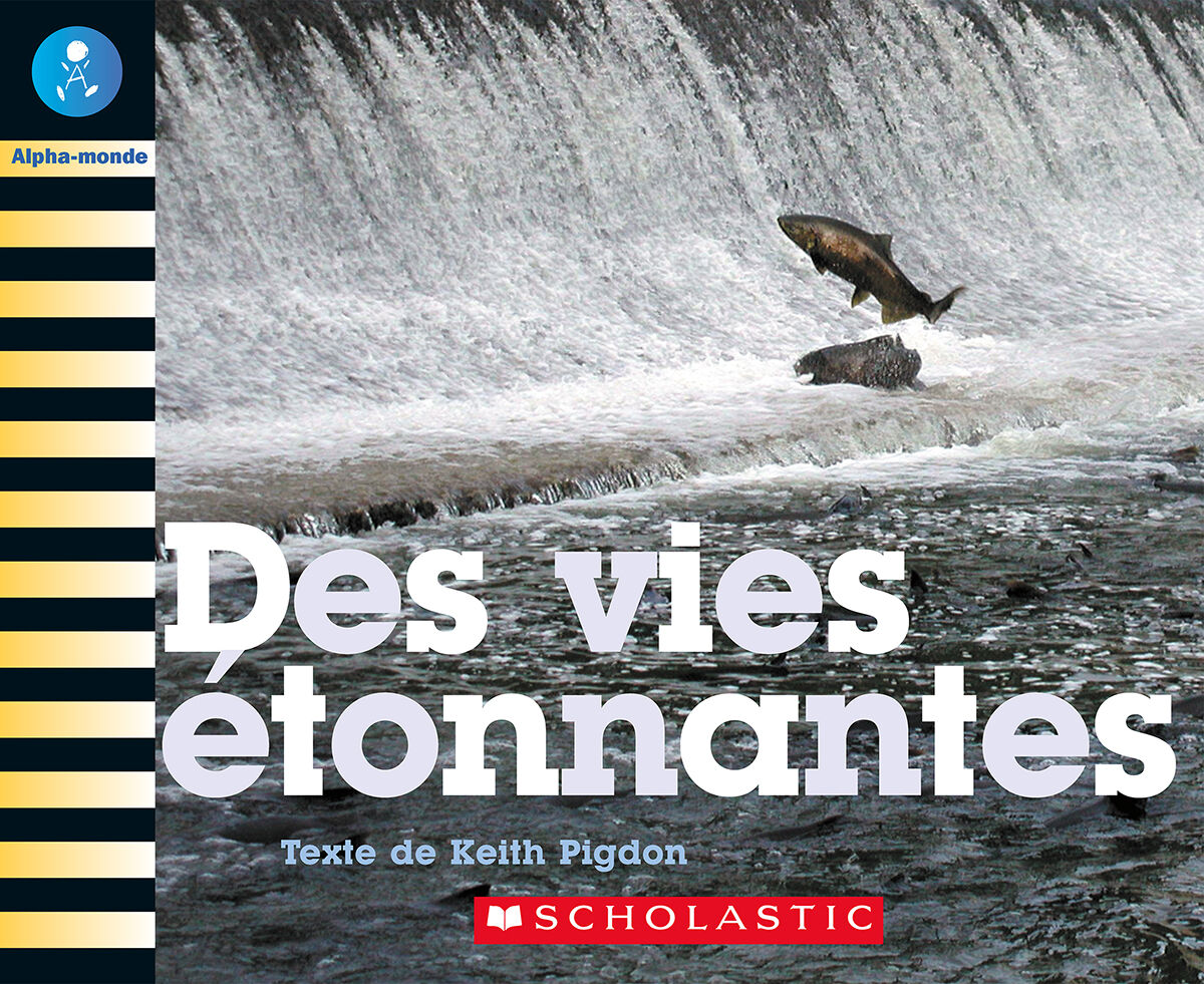 Alpha-monde: Emballage Niveau 21 (K) image number 2