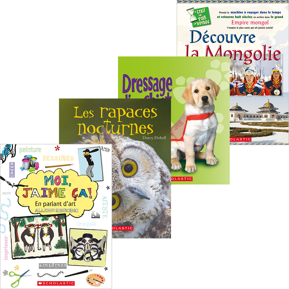 J'avance en litt&eacute;ratie Biblioth&egrave;que nivel&eacute;e: Niveaux O-Z image number 0