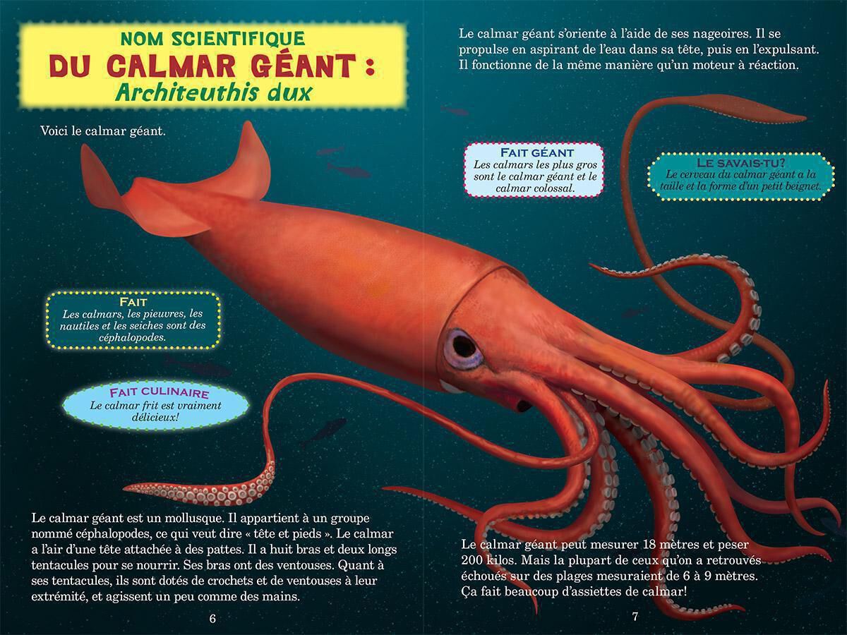 Qui va gagner? : Le grand cachalot ou le calmar g&eacute;ant? image number 2