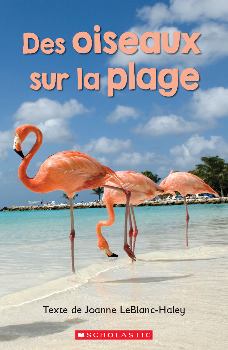 Envol an litt&eacute;ratie Maternelle &agrave; 4e ann&eacute;e: Niveau B: Des oiseaux sur la plage Emballage de 6 image number 0