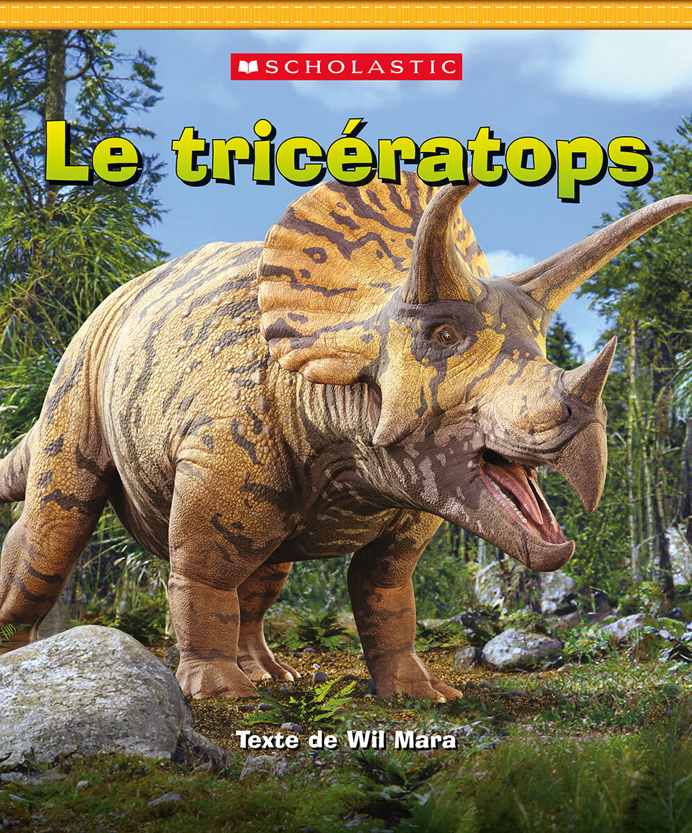 La bo&icirc;te de livres: Jour apr&egrave;s jour Plus: Bo&icirc;te jaune image number 6