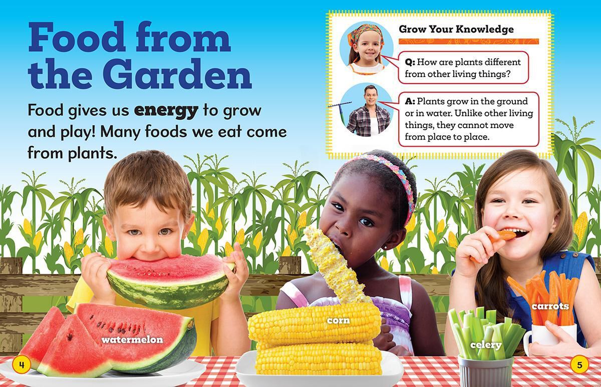 STEAM 2-3 Collection image number 6