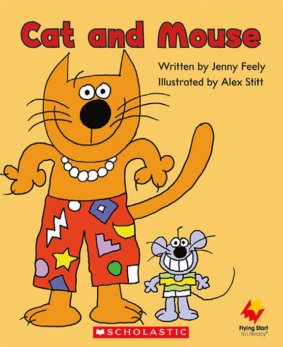 Flying Start: Level C: Big Brothers/Cat and Mouse 12 Pack image number 1