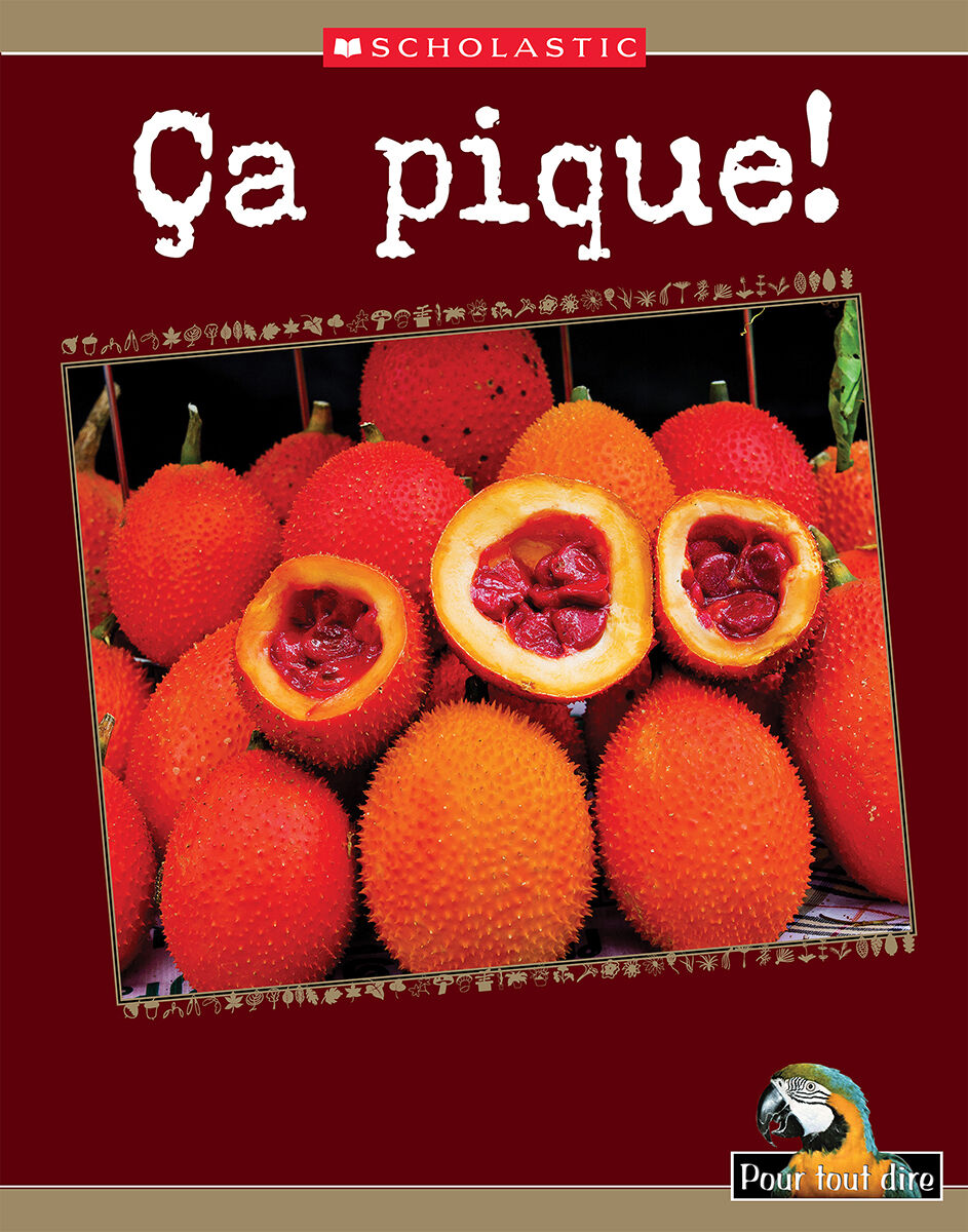 Pour tout dire: Le monde naturel: Les plantes: &Ccedil;a pique! Emballage de 4 image number 1