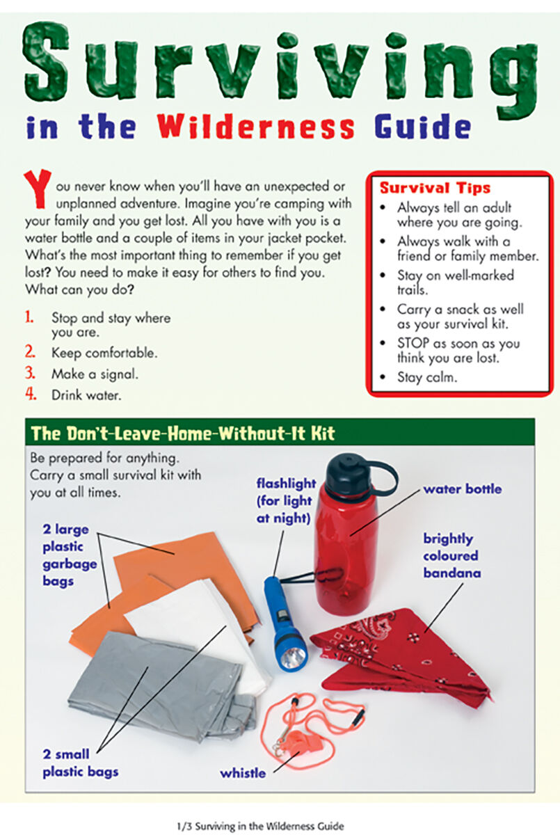 Moving Up Grade 4 Genre Book Club: Ready, Set, Adventures! image number 4