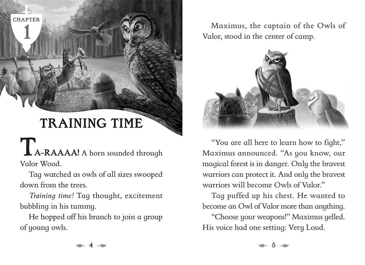 The Last Firehawk #1: The Ember Stone image number 1