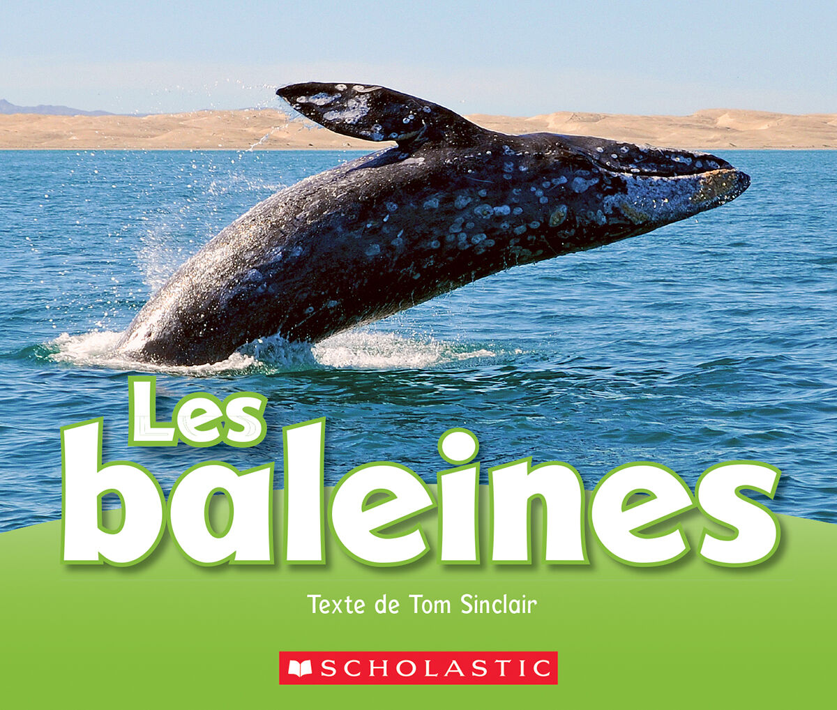 Envol an litt&eacute;ratie Maternelle &agrave; 4e ann&eacute;e: Niveau K: Les baleines Emballage de 6 image number 0