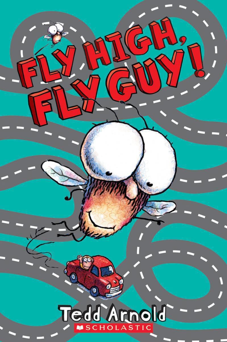 Fly Guy K-2 image number 1